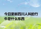 今日更新四川人叫的竹牛是什么东西