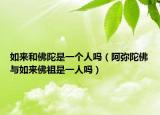 如来和佛陀是一个人吗（阿弥陀佛与如来佛祖是一人吗）