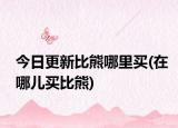 今日更新比熊哪里买(在哪儿买比熊)