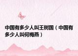 中国有多少人叫王树国（中国有多少人叫何梅燕）