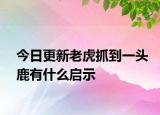 今日更新老虎抓到一头鹿有什么启示