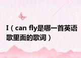 I（can fly是哪一首英语歌里面的歌词）