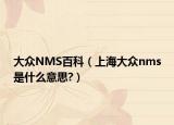 大众NMS百科（上海大众nms是什么意思?）