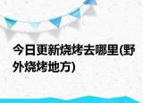 今日更新烧烤去哪里(野外烧烤地方)