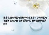 梁小龙演陈真的电视剧叫什么名字（求陈真的电视剧不是陈小春.也不是梁小龙.更不是甄子丹演的）