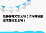 騒韩的韩文怎么写（请问韩俪翻译成韩语怎么写）