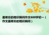 最难忘的相识瞬间作文600字初一（作文最难忘的相识瞬间）