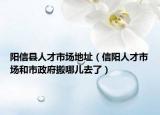 阳信县人才市场地址（信阳人才市场和市政府搬哪儿去了）