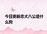 今日更新忠犬八公是什么狗