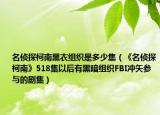 名侦探柯南黑衣组织是多少集（《名侦探柯南》518集以后有黑暗组织FBI冲矢参与的剧集）