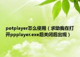 potplayer怎么使用（求助我在打开ppplayer.exe后关闭后出现）