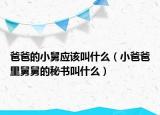 爸爸的小舅应该叫什么（小爸爸里舅舅的秘书叫什么）