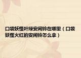 口袋妖怪叶绿安闲铃在哪里（口袋妖怪火红的安闲铃怎么拿）