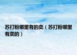 苏打粉哪里有的卖（苏打粉哪里有卖的）