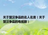 关于楚汉争霸的名人名言（关于楚汉争霸的电视剧）