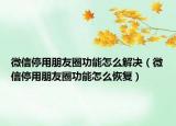 微信停用朋友圈功能怎么解决（微信停用朋友圈功能怎么恢复）