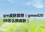 gm皮肤管理（gmod2009怎么换皮肤）