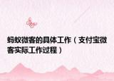 蚂蚁微客的具体工作（支付宝微客实际工作过程）