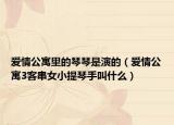爱情公寓里的琴琴是演的（爱情公寓3客串女小提琴手叫什么）