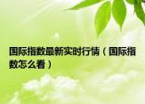 国际指数最新实时行情（国际指数怎么看）