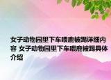 女子动物园里下车喂鹿被踢详细内容 女子动物园里下车喂鹿被踢具体介绍