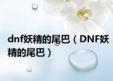 dnf妖精的尾巴（DNF妖精的尾巴）