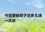 今日更新君子兰多久浇一次水