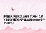 那时你风华正茂,我也青春年少是什么歌（歌词那时的你风华正茂那时的我青春年少求歌名）