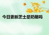 今日更新芝士是奶酪吗