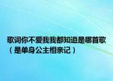 歌词你不爱我我都知道是哪首歌（是单身公主相亲记）