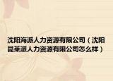 沈阳海派人力资源有限公司（沈阳昆莱派人力资源有限公司怎么样）