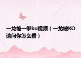 一龙被一拳ko视频（一龙被KO请问你怎么看）