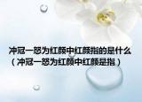 冲冠一怒为红颜中红颜指的是什么（冲冠一怒为红颜中红颜是指）