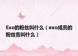 Exo的粉丝叫什么（exo成员的粉丝各叫什么）