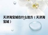 天津淘宝城在什么地方（天津淘宝城）