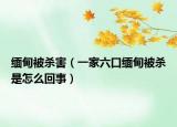 缅甸被杀害（一家六口缅甸被杀是怎么回事）