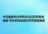 今日更新华为手机怎么打开开发者选项 华为手机如何打开开发者选项