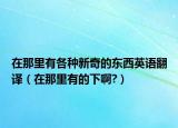 在那里有各种新奇的东西英语翻译（在那里有的下啊?）