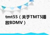 tmt55（关于TMT5播放BDMV）