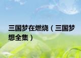 三国梦在燃烧（三国梦想全集）