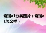 奇瑞a1分类图片（奇瑞a1怎么样）