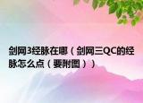 剑网3经脉在哪（剑网三QC的经脉怎么点（要附图））