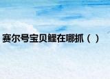 赛尔号宝贝鲤在哪抓（）