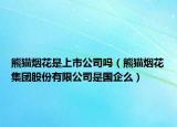 熊猫烟花是上市公司吗（熊猫烟花集团股份有限公司是国企么）