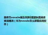 鍗庝负nova3e娓告垙鍔╂墜鍒犱簡浠庡摢涓嬭浇（华为nova3e怎么卸载应用软件）
