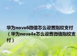 华为nova6微信怎么设置指纹支付（华为nova4e怎么设置微信指纹支付）