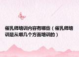 催乳师培训内容有哪些（催乳师培训是从哪几个方面培训的）