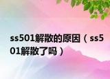 ss501解散的原因（ss501解散了吗）