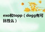 exo和topp（dogg有可比性么）