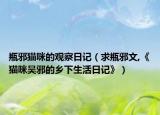 瓶邪猫咪的观察日记（求瓶邪文,《猫咪吴邪的乡下生活日记》）